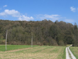 Slika