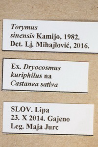 Slika
