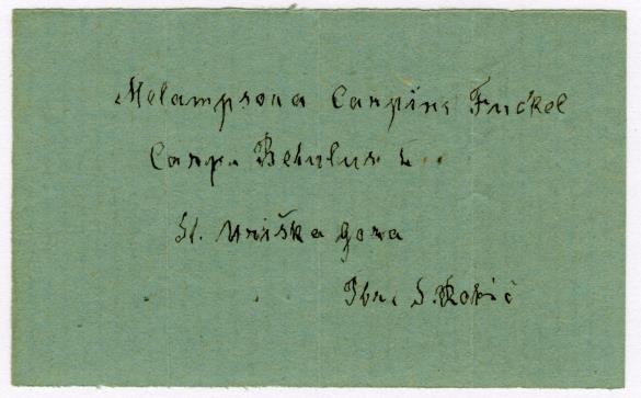 Melampsora carpini