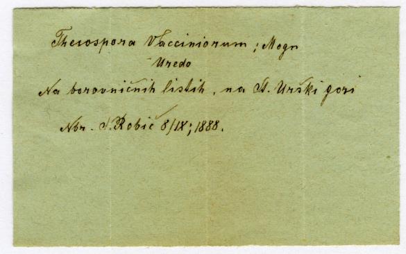 Thekopsora vacciniorum 
