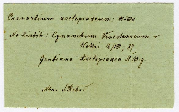 Cronartium asclepiadeum