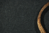 Aecidium ficariae
