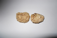 Sparassis crispa