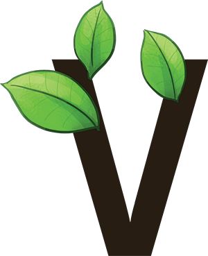 Logotip VG
